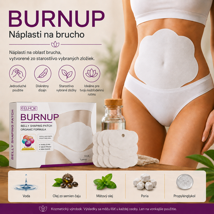BRNUP (SK)